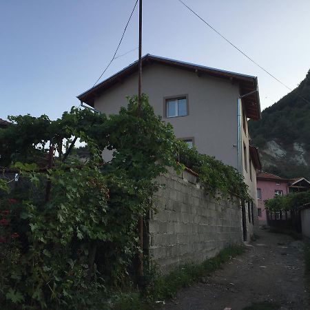 Elenite Guesthouse Gotse Deltjev Eksteriør billede